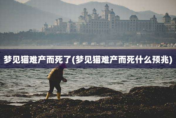 梦见猫难产而死了(梦见猫难产而死什么预兆)
