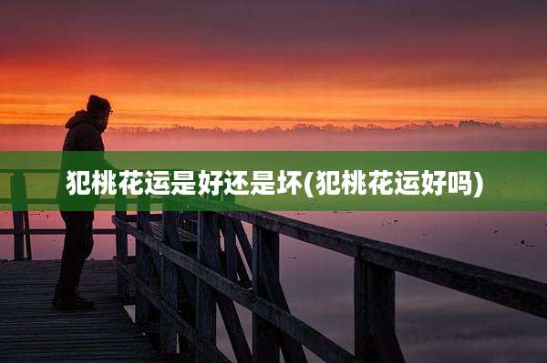 犯桃花运是好还是坏(犯桃花运好吗)