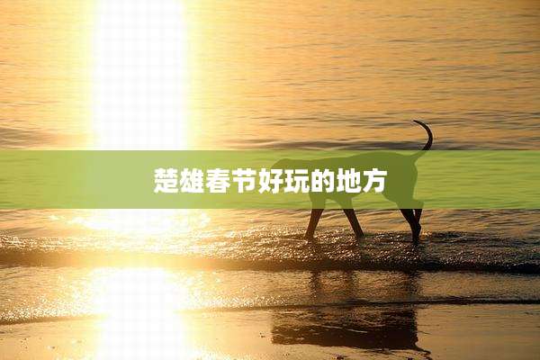楚雄春节好玩的地方