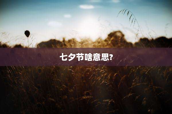 七夕节啥意思?