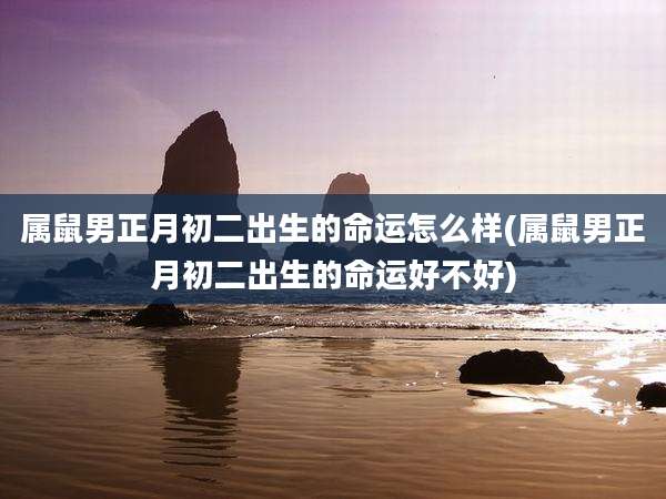 属鼠男正月初二出生的命运怎么样(属鼠男正月初二出生的命运好不好)