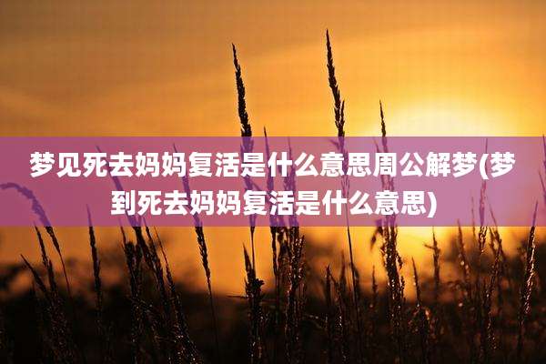 梦见死去妈妈复活是什么意思周公解梦(梦到死去妈妈复活是什么意思)