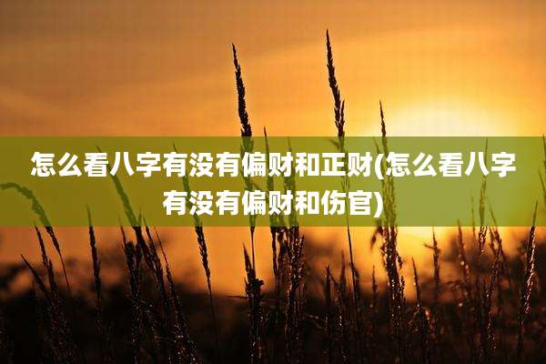 怎么看八字有没有偏财和正财(怎么看八字有没有偏财和伤官)