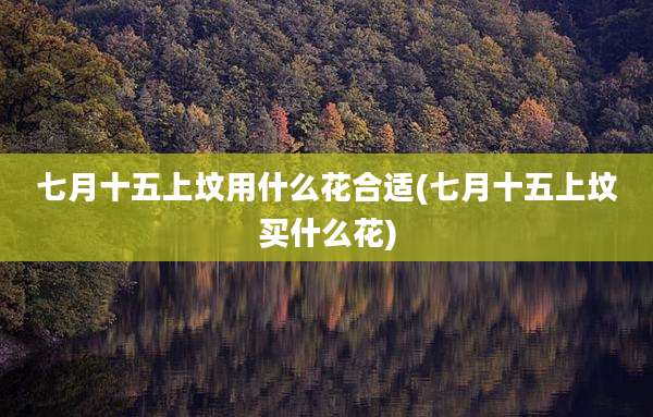 七月十五上坟用什么花合适(七月十五上坟买什么花)