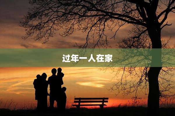 过年一人在家
