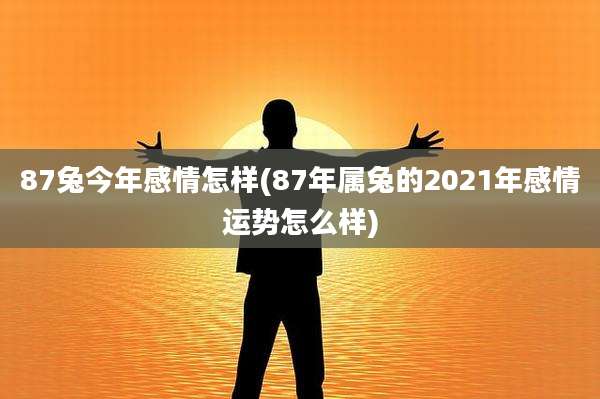 87兔今年感情怎样(87年属兔的2021年感情运势怎么样)