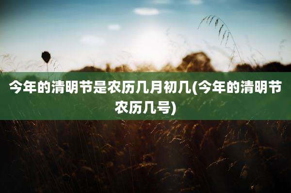 今年的清明节是农历几月初几(今年的清明节农历几号)