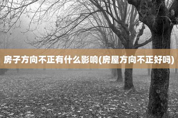 房子方向不正有什么影响(房屋方向不正好吗)