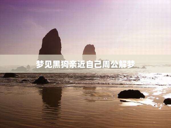 梦见黑狗亲近自己周公解梦