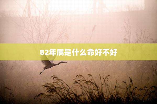 82年属是什么命好不好
