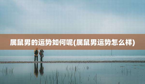 属鼠男的运势如何呢(属鼠男运势怎么样)