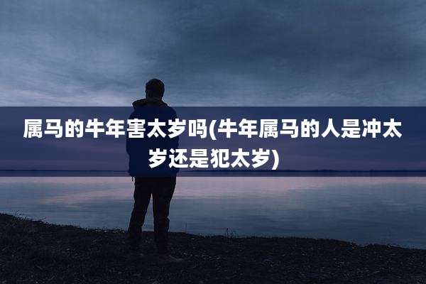 属马的牛年害太岁吗(牛年属马的人是冲太岁还是犯太岁)