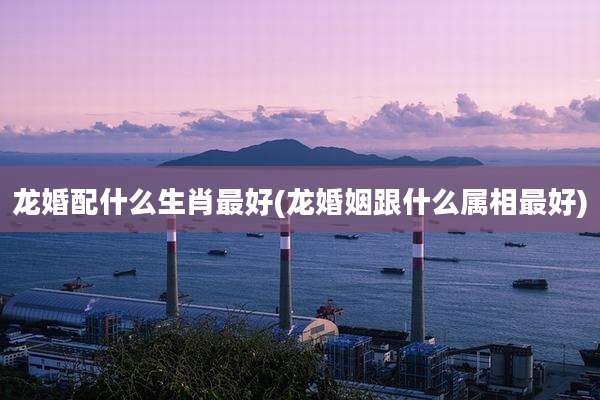 龙婚配什么生肖最好(龙婚姻跟什么属相最好)