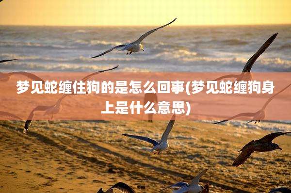 梦见蛇缠住狗的是怎么回事(梦见蛇缠狗身上是什么意思)