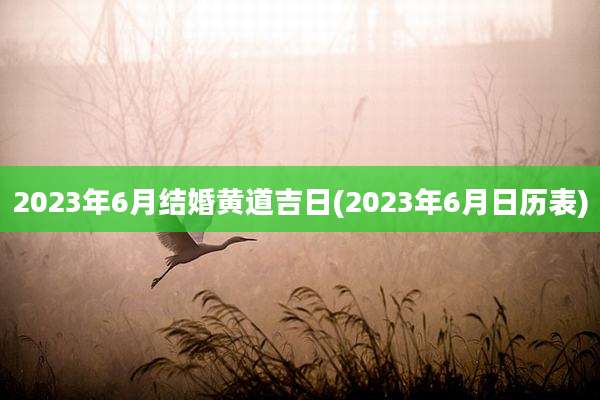 2023年6月结婚黄道吉日(2023年6月日历表)
