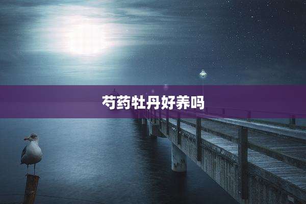 芍药牡丹好养吗