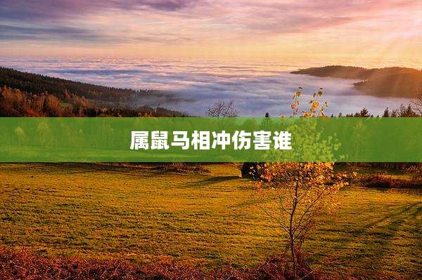 属鼠马相冲伤害谁