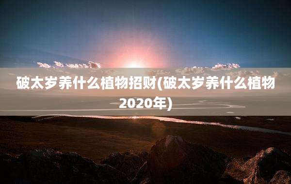 破太岁养什么植物招财(破太岁养什么植物2020年)