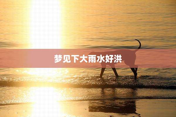 梦见下大雨水好洪