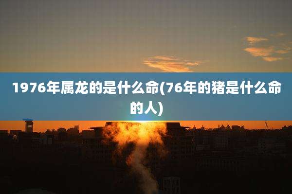 1976年属龙的是什么命(76年的猪是什么命的人)