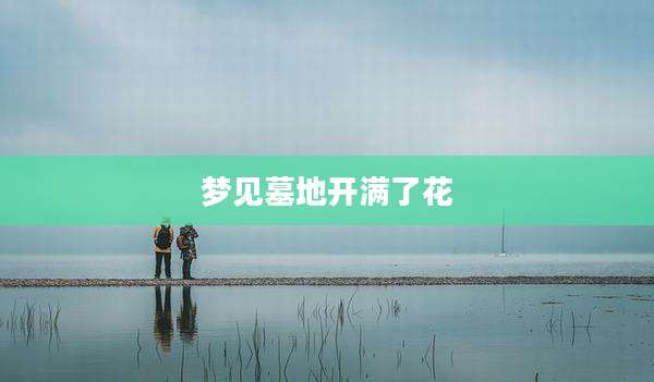 梦见墓地开满了花