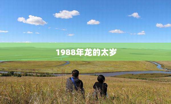 1988年龙的太岁