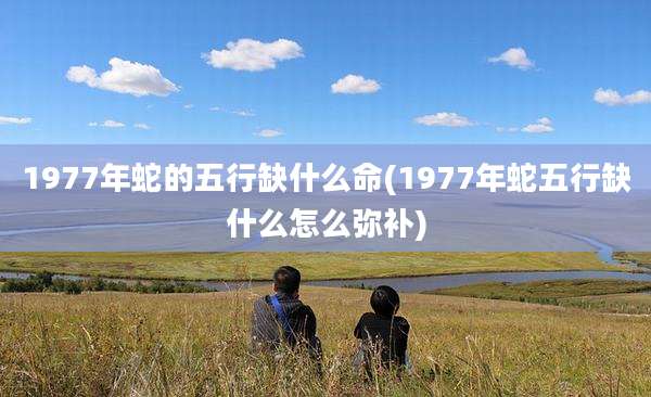 1977年蛇的五行缺什么命(1977年蛇五行缺什么怎么弥补)