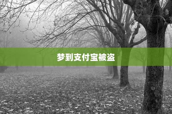 梦到支付宝被盗