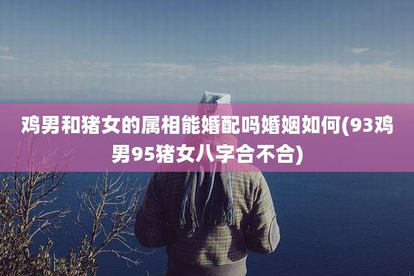 鸡男和猪女的属相能婚配吗婚姻如何(93鸡男95猪女八字合不合)