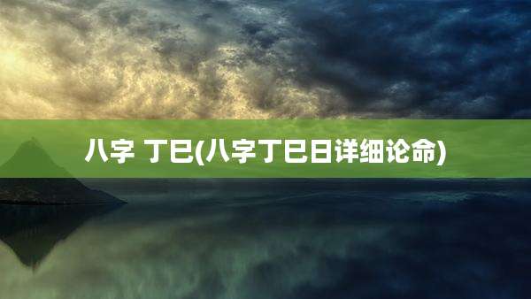 八字 丁巳(八字丁巳日详细论命)