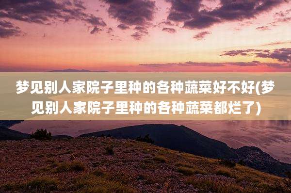 梦见别人家院子里种的各种蔬菜好不好(梦见别人家院子里种的各种蔬菜都烂了)