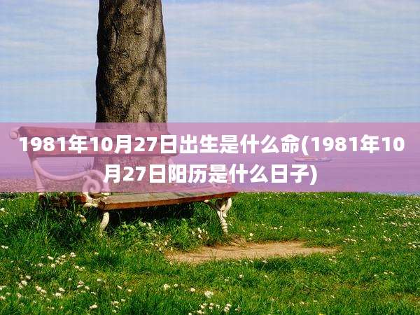 1981年10月27日出生是什么命(1981年10月27日阳历是什么日子)