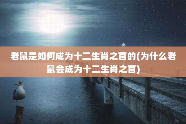 老鼠是如何成为十二生肖之首的(为什么老鼠会成为十二生肖之首)