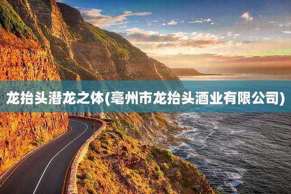 龙抬头潜龙之体(亳州市龙抬头酒业有限公司)