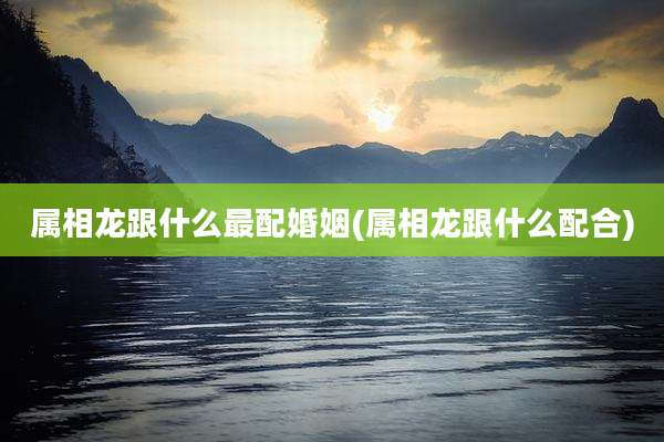 属相龙跟什么最配婚姻(属相龙跟什么配合)