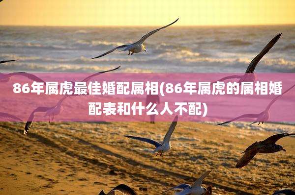 86年属虎最佳婚配属相(86年属虎的属相婚配表和什么人不配)