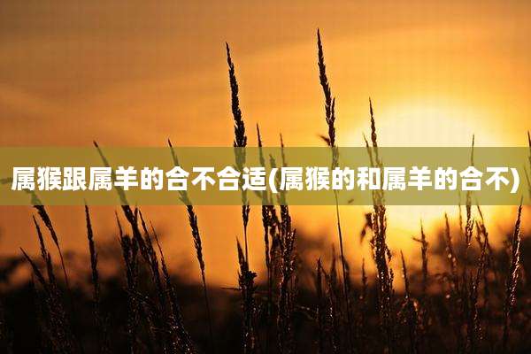 属猴跟属羊的合不合适(属猴的和属羊的合不)