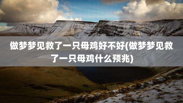 做梦梦见救了一只母鸡好不好(做梦梦见救了一只母鸡什么预兆)