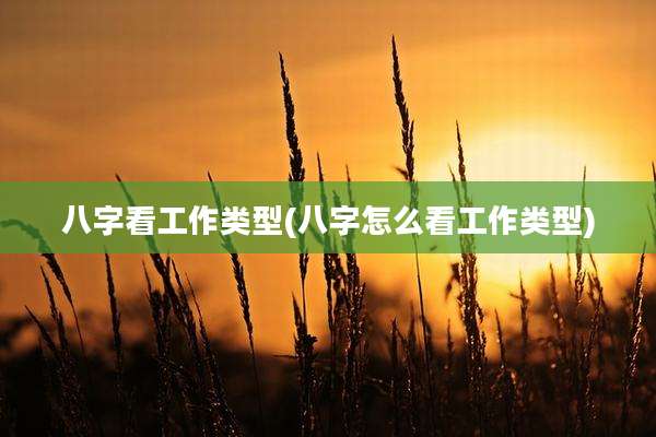 八字看工作类型(八字怎么看工作类型)