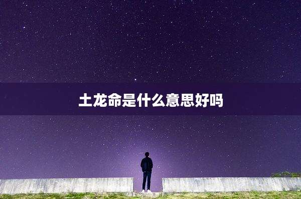 土龙命是什么意思好吗