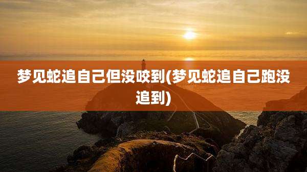 梦见蛇追自己但没咬到(梦见蛇追自己跑没追到)