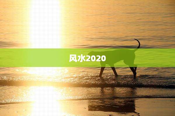风水2020