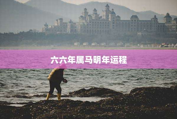 六六年属马明年运程