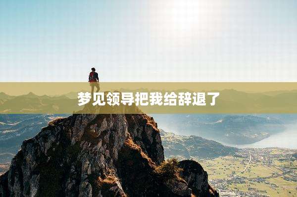 梦见领导把我给辞退了