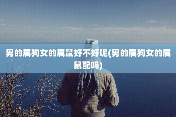 男的属狗女的属鼠好不好呢(男的属狗女的属鼠配吗)