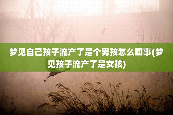 梦见自己孩子流产了是个男孩怎么回事(梦见孩子流产了是女孩)