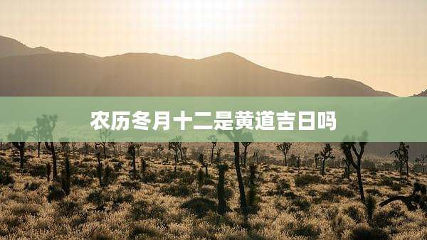 农历冬月十二是黄道吉日吗
