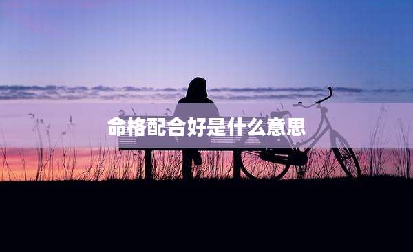 命格配合好是什么意思