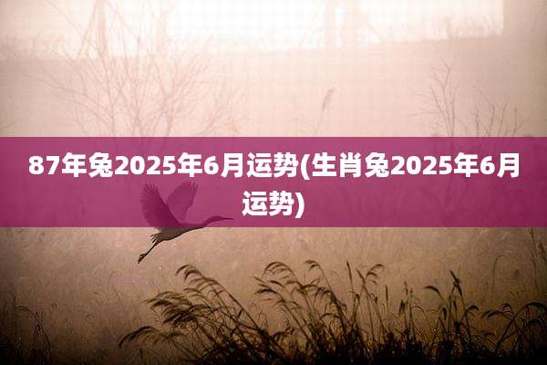 87年兔2025年6月运势(生肖兔2025年6月运势)