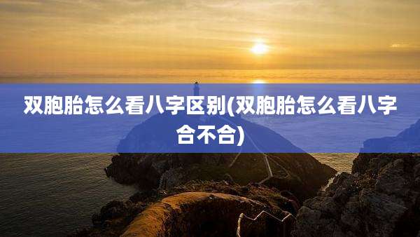 双胞胎怎么看八字区别(双胞胎怎么看八字合不合)